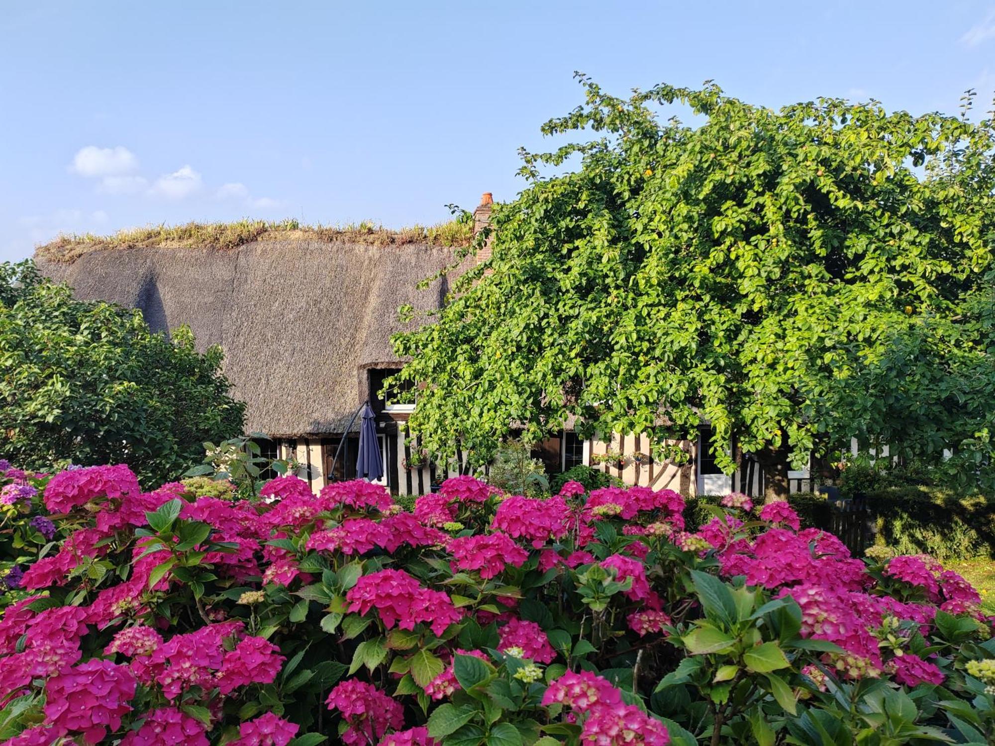 La Maraiquaise Villa Marais-Vernier Exterior foto