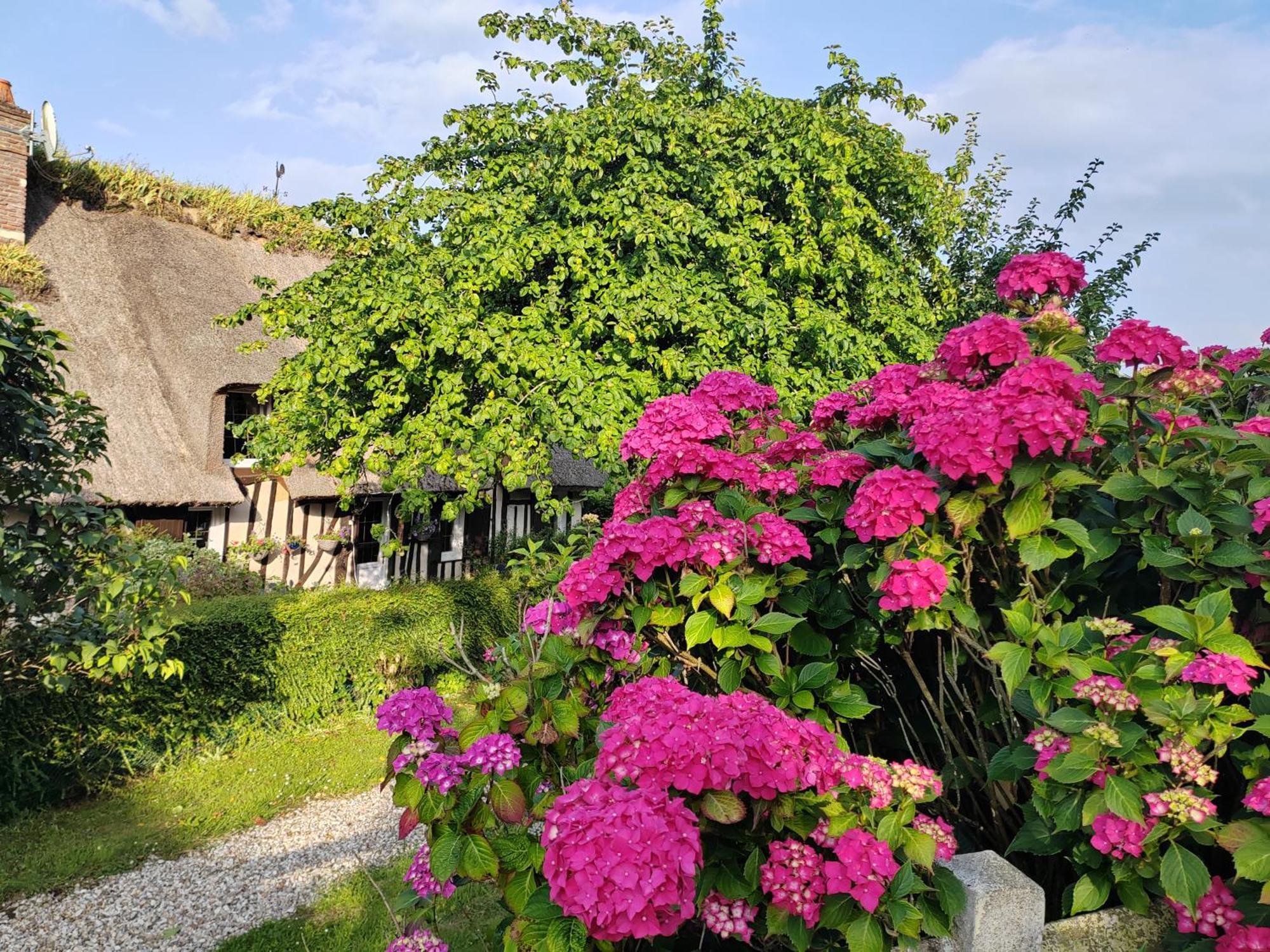 La Maraiquaise Villa Marais-Vernier Exterior foto